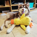 Calming Duck Dog Toy — Anxiety Relief Comfort Companion with Heartbeat