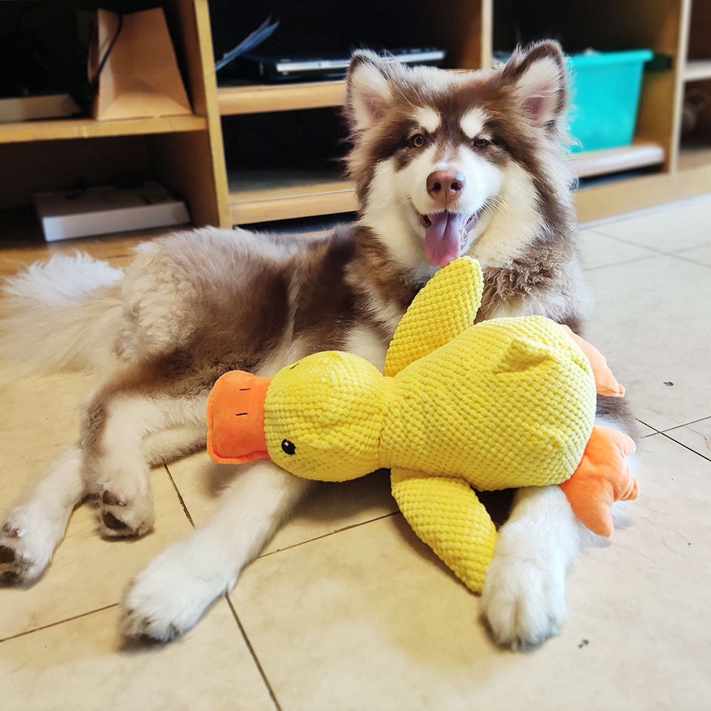 Calming Duck Dog Toy — Anxiety Relief Comfort Companion with Heartbeat