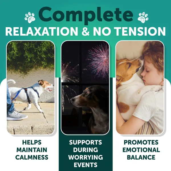 Hemp Calming Chews for Dogs — Anxiety & Stress Relief | 120 Soft Treats