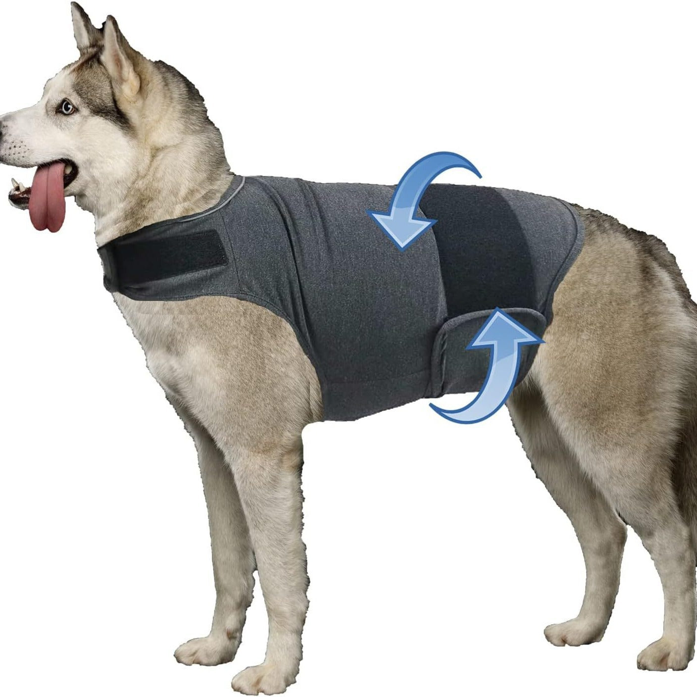 Calming Anxiety Vest for Dogs — Gentle Compression for Stress Relief