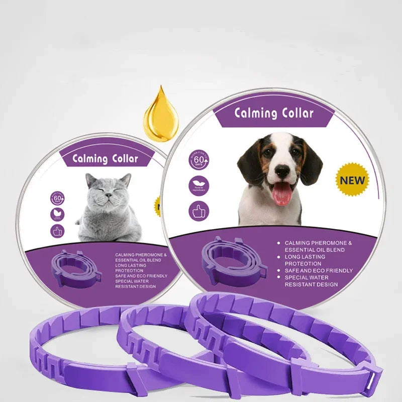 Pêlo Calming Collar for Dogs — Natural Lavender & Chamomile Anxiety & Stress Relief