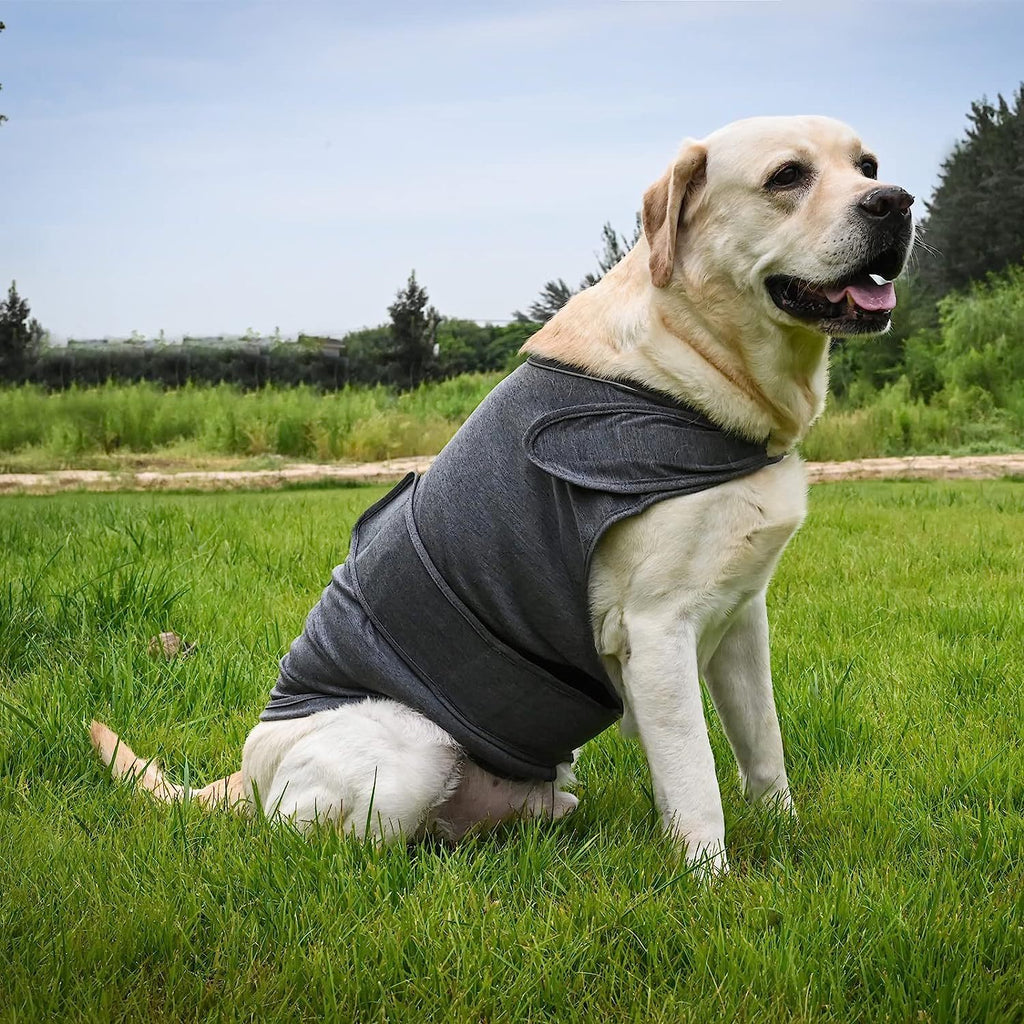 Calming Anxiety Vest for Dogs — Gentle Compression for Stress Relief