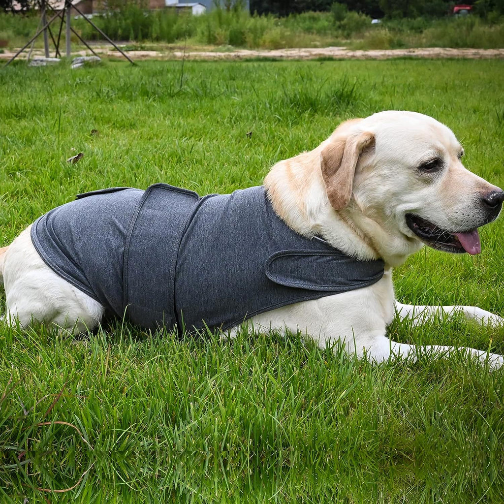 Calming Anxiety Vest for Dogs — Gentle Compression for Stress Relief