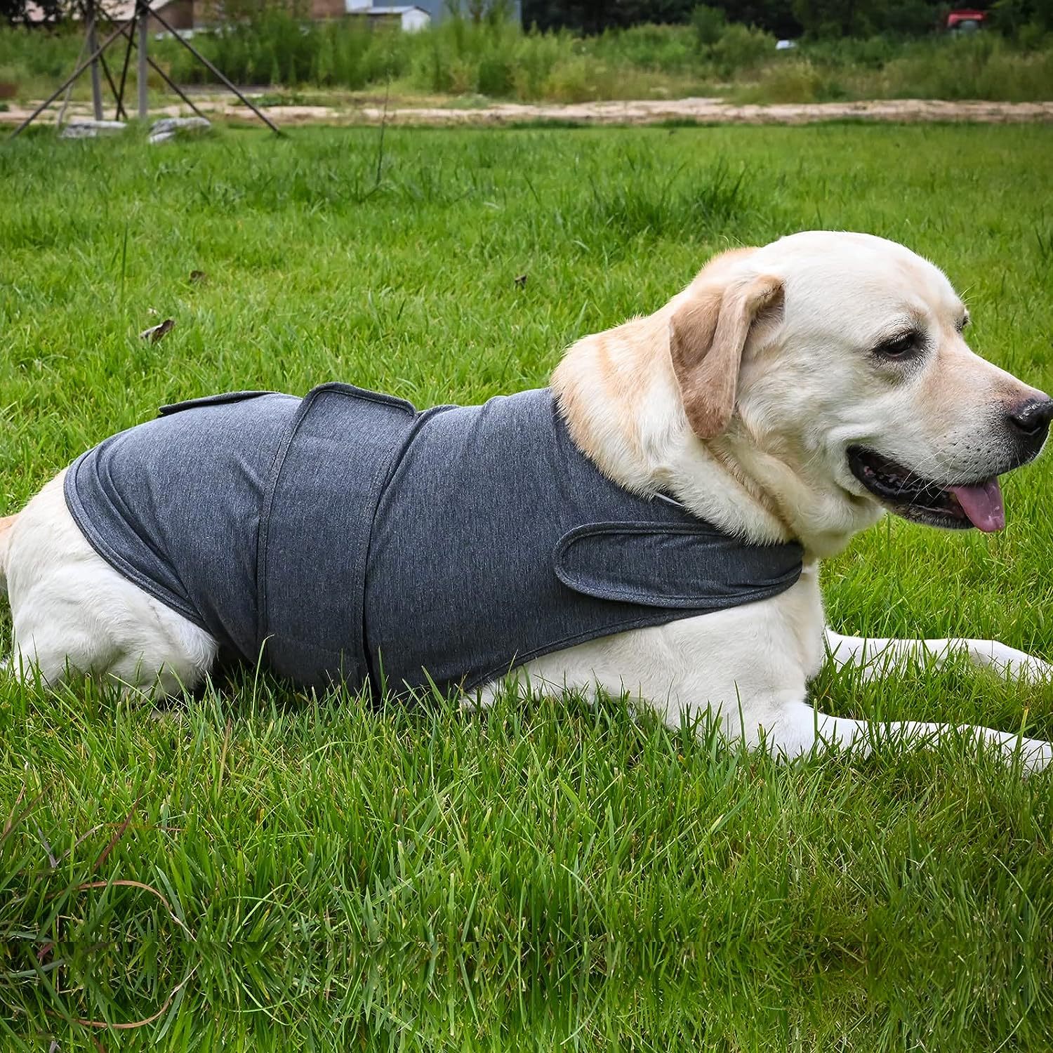 Calming Anxiety Vest for Dogs — Gentle Compression for Stress Relief